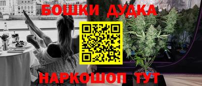 стафф Брянск