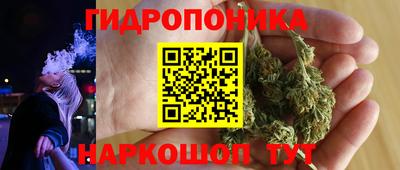 ПСИЛОЦИБИНОВЫЕ ГРИБЫ Боровичи