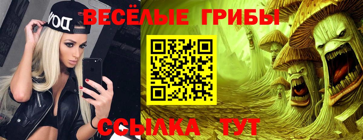 Галлюциногенные грибы GOLDEN TEACHER  Вход с VPN  Галлюциногенные грибы Psilocybine cubensis  Канск 