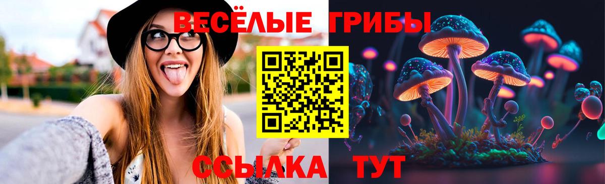 Псилоцибиновые грибы Psilocybe Канск