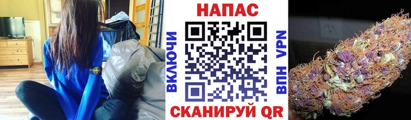 мориарти состав  где можно купить   Канск  Бошки марихуана ГИДРОПОН 